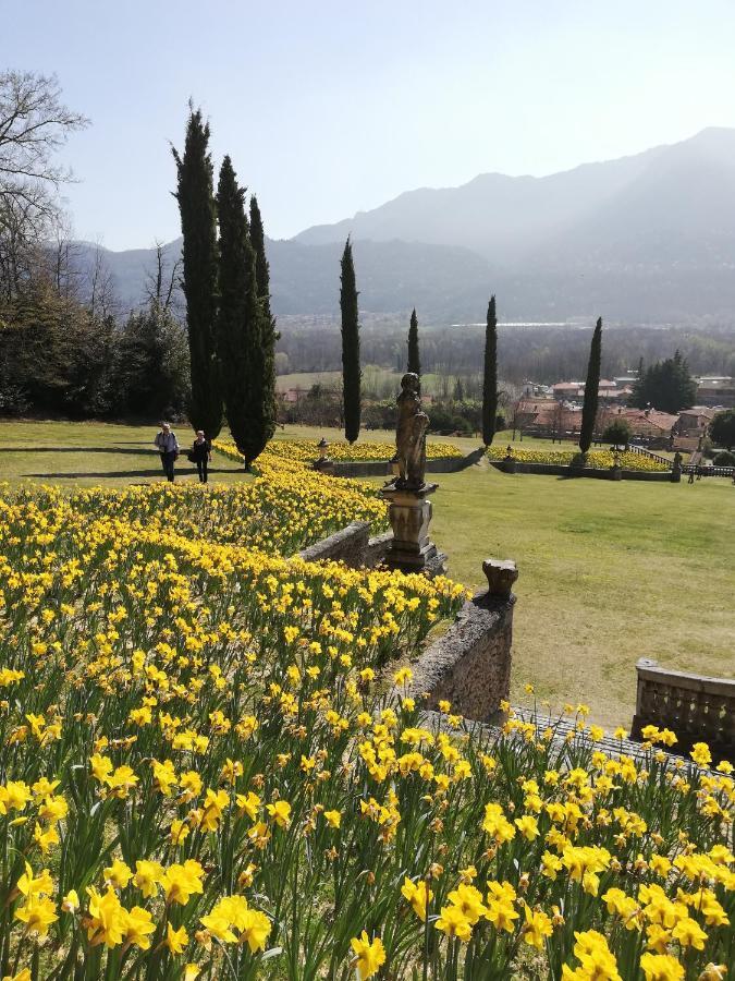 Appartamento Giardino Porto Valtravaglia Esterno foto